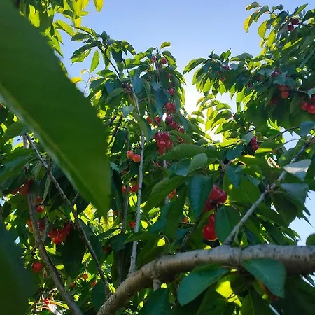 Сasa de vacaciones Cortijo Arcos Málaga